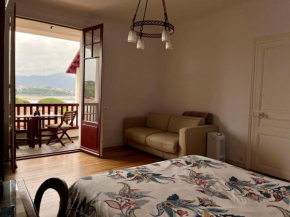 Appartement Hendaye, 2 pièces, 4 personnes - FR-1-239-821